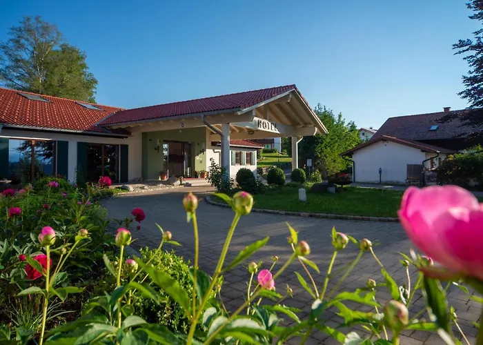 Hotel Gockelwirt 4*